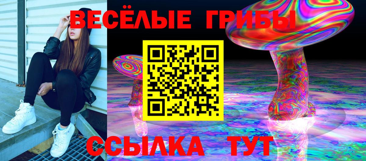 Псилоцибиновые грибы Magic Shrooms  Вход с VPN  где купить наркотик  Баксан 