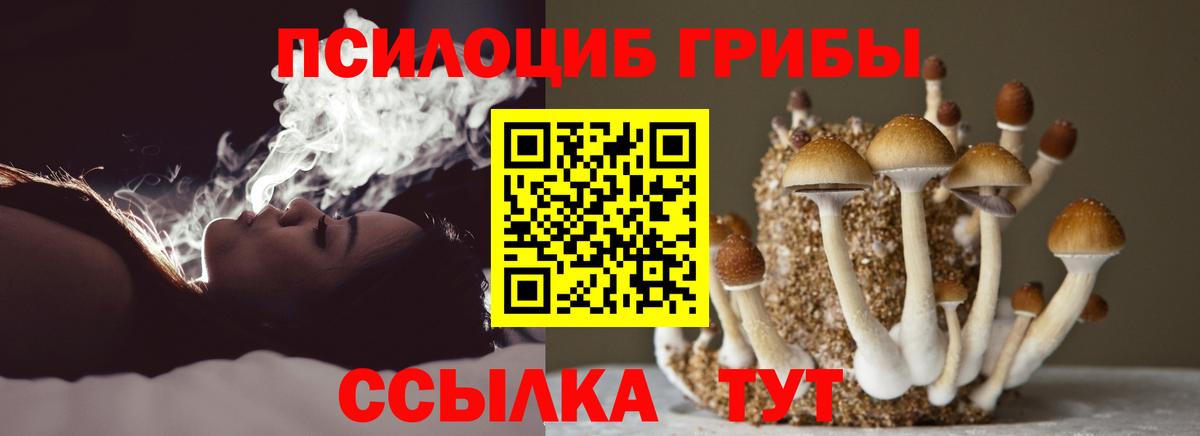 Галлюциногенные грибы Cubensis Баксан